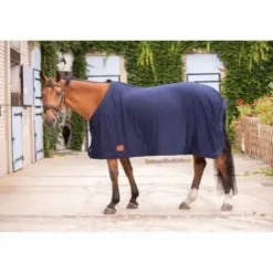 New Chemise séchante avec sangle invisible Chemises Cheval