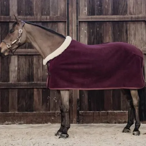 Outlet Chemise séchante Show Heavy - Kentucky Chemises Cheval