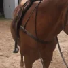 Online Collier de chasse Enrênements·Collier De Chasse