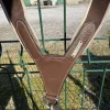 Discount Collier de chasse Enrênements·Collier De Chasse