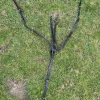 Outlet Collier de chasse + martingale Enrênements·Collier De Chasse
