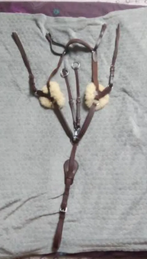 Online Collier de chasse + martingale taille poney marron Enrênements·Collier De Chasse