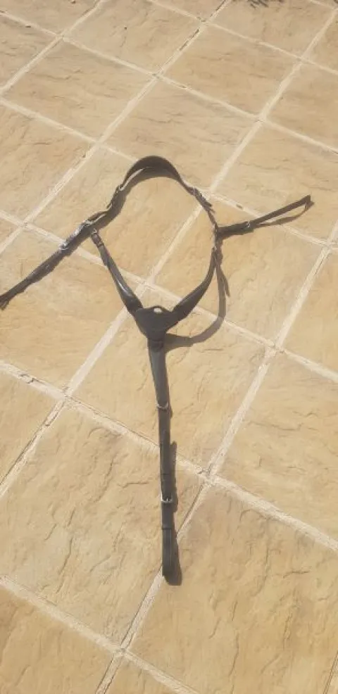 Best Collier de chasse Antares Enrênements·Collier De Chasse