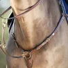Sale Collier de chasse Long Bridge Enrênements·Collier De Chasse