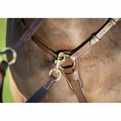 Discount Collier de chasse Long Bridge Enrênements·Collier De Chasse
