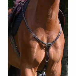 Sale Collier de chasse Tuesday - Collection Week - Jump'in Enrênements·Collier De Chasse