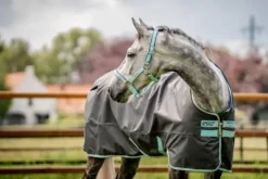Best Couverture Hero Ripstop 50g - Horseware - extérieur imperméable Couvertures Cheval