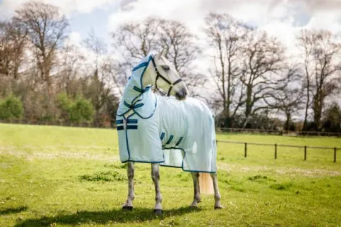 Discount Couverture anti-insectes Bug Buster - Horseware Chemises Anti-Mouches|Chemises Cheval