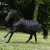New Couverture Couvertures Cheval