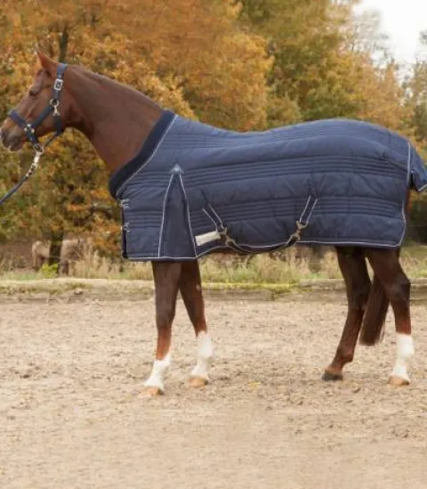 New Couverture d'écurie Comfort Line 100G Couvertures Cheval