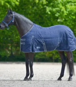 Sale Couverture d'écurie Economic 100G - Couvertures Cheval