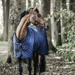 Outlet Couverture d'écurie 0g - Kentucky Couvertures Cheval