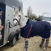 New Couverture de box Pénélope poney Couvertures Cheval