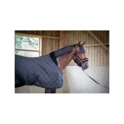 Hot Couverture de boxe matelassée 200 Gr Couvertures Cheval