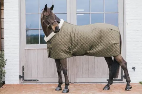 Hot Couverture de présentation 160 g Kaki - Kentucky Couvertures Cheval