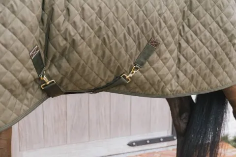 Hot Couverture de présentation 160 g Kaki - Kentucky Couvertures Cheval