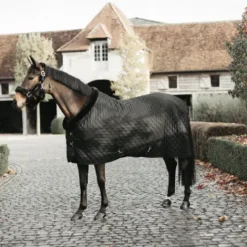 Hot Couverture de présentation 160 g - Kentucky Couvertures Cheval