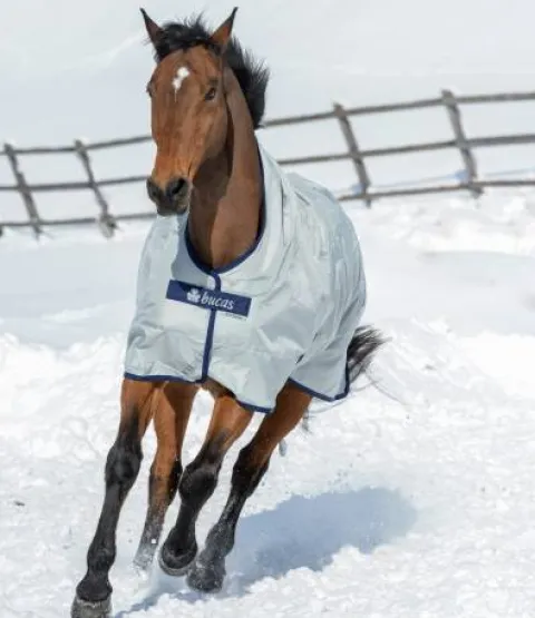 Outlet Couverture d'extérieur Power Turnout Light Big Neck - - 1680 deniers Couvertures Cheval