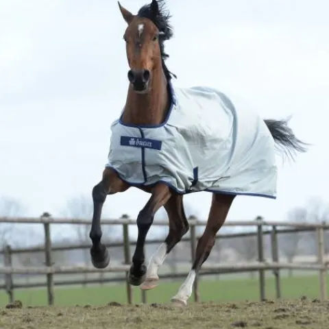 Outlet Couverture d'extérieur Power Turnout Light Big Neck - - 1680 deniers Couvertures Cheval