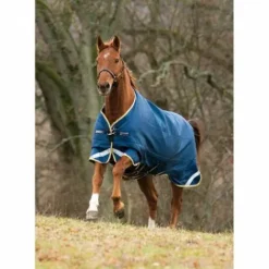 Discount Couverture D'extérieur Original Leg Archs - Horseware Couvertures Cheval