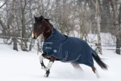 Hot Couverture Highneck Starter Doublure Fine - - 125CM Couvertures Cheval