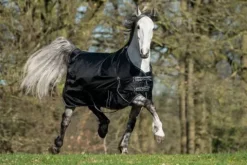 Sale Couverture imperméable 200g 1680d Couvertures Cheval