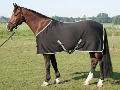 Outlet Couverture jersey séchante Harry's horse Chemises Cheval