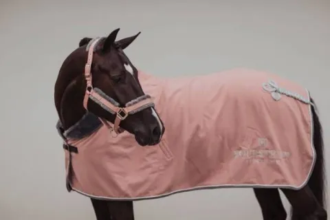 Best Couverture Polaire Col Mouton - Pink Chemises Cheval