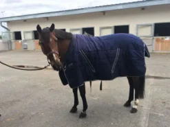 New COUVERTURE COSY Couvertures Cheval