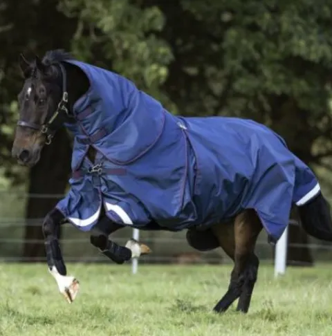 Best Couverture Rambo Optimo imperméable 400g Couvertures Cheval