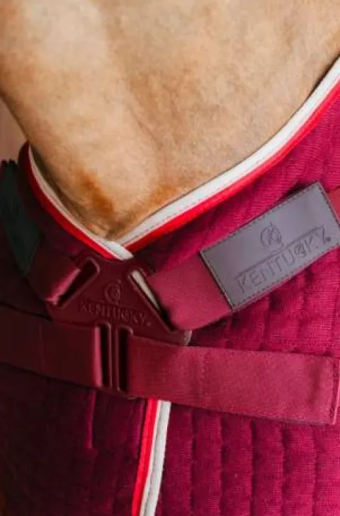 Outlet Couverture séchante PROTherm - KENTUCKY Chemises Cheval