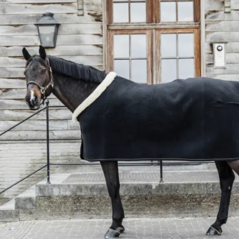 Discount Couverture séchante Show Heavy - Kentucky Chemises Cheval