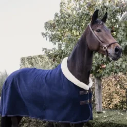 Discount Couverture séchante Show Heavy - Kentucky Chemises Cheval