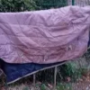 Discount Couverture 6'6 200g Couvertures Cheval