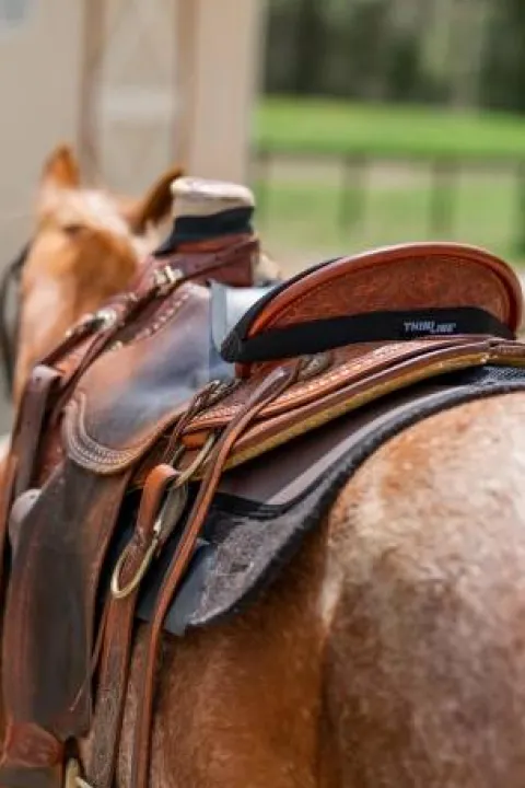 Couvre siège Selle Western Dessus De Selles