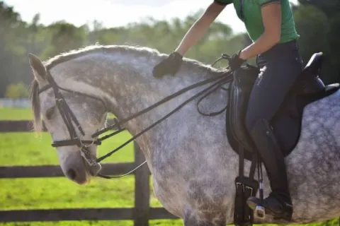 Couvre siège Selle Western Dessus De Selles