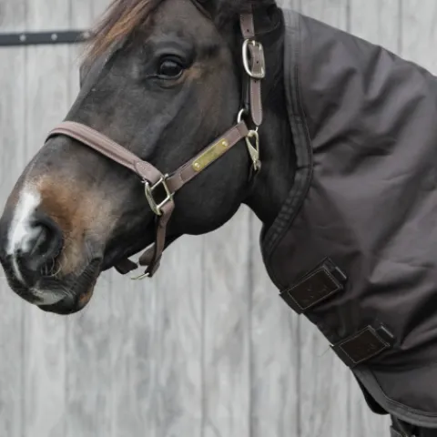 Online Couvre-cou All Weather imperméable pro 150G - Kentucky Couvertures Cheval