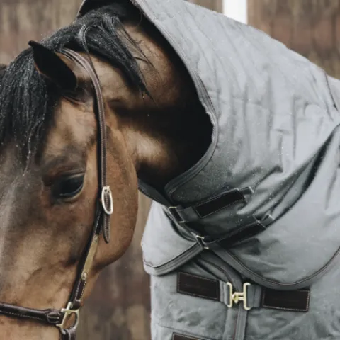 Online Couvre-cou All Weather imperméable pro 150G - Kentucky Couvertures Cheval