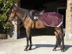 Online Couvre-reins Ripstop compétition - Horseware - imperméable 600d Couvre-Reins