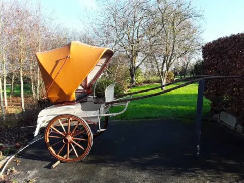 Hot Diverses Calèches et Harnais Harnais D'Attelage|Equipements D'Attelage
