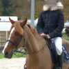 Doudoune pénélope Leprevost Femme Tenue D'Équitation Femme·Parka, Blouson, Doudoune