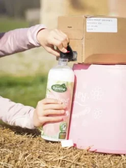 Best Easy shine recharge 3L - Lustrants Et Démêlants