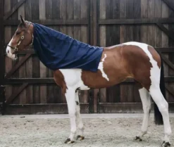Echarpe polaire - Kentucky Couvertures Cheval