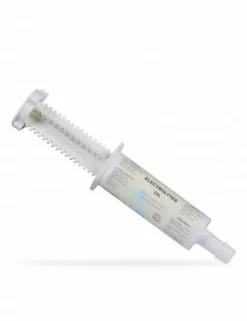 Hot Electrolytes  Seringue 60 ml - Forme Et Performances·Electrolyte Cheval