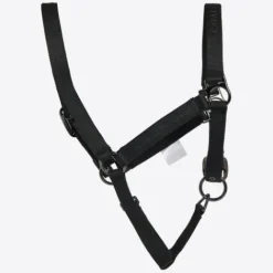 Hot Ensemble licol & longe nylon  - Licols Et Longes