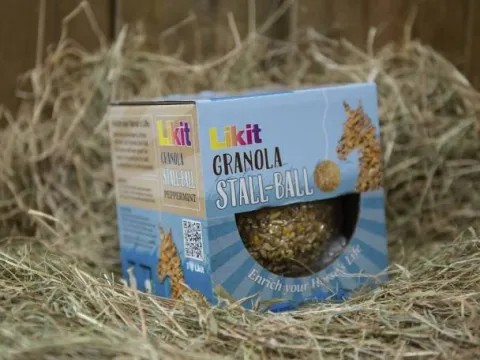 Hot Friandise en balle Stall Ball à accrocher - Friandises|Bloc À Lécher / Pierre À Sel