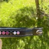 Discount Frontal HKM Bridons Et Brides·Frontal