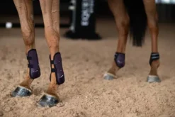 Sale Guêtres Anatomic Tendon Black Raven - Guêtres