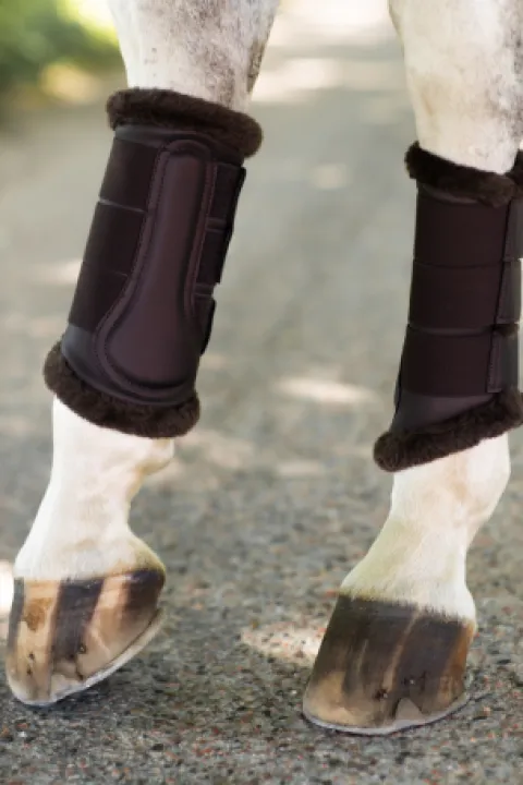New Guêtres de dressage Moonless Night - Guêtres De Dressage|Guêtres