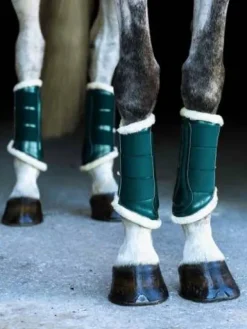 Online Guêtres - AMAZONITE Guêtres De Dressage|Guêtres